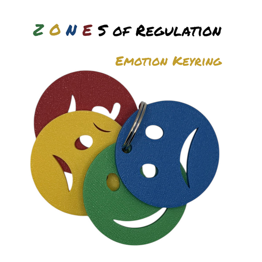 Zones of Regulation Keychain  | Emotional Regulation Tool for SEN-D | 4 Colour Coded Pallets